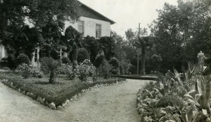 044_roses_of_nikitsky_garden_1930s.jpg