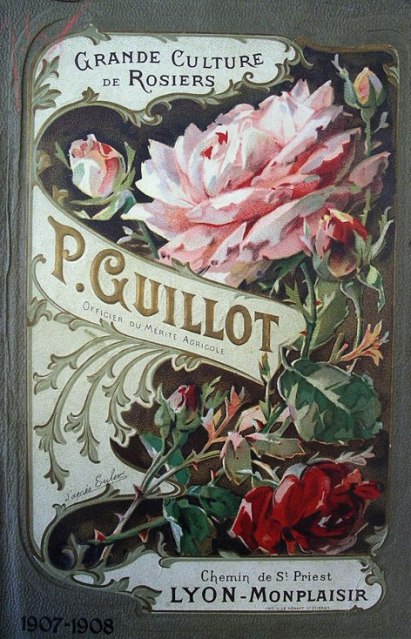 catalog-Guillot-1907_0.jpg