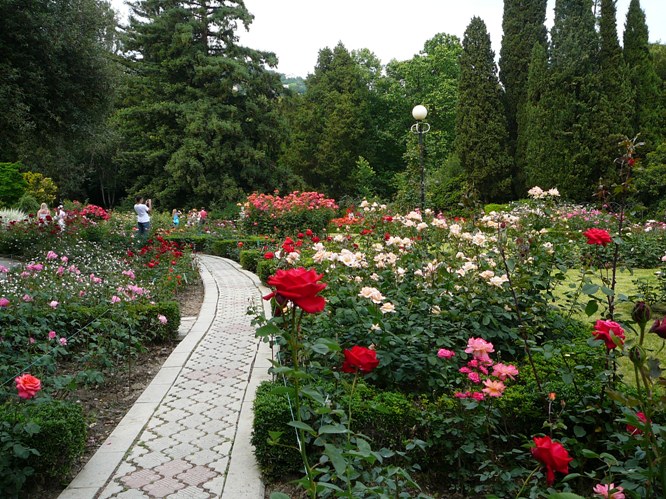 nikitsky_garden_roses_002.jpg