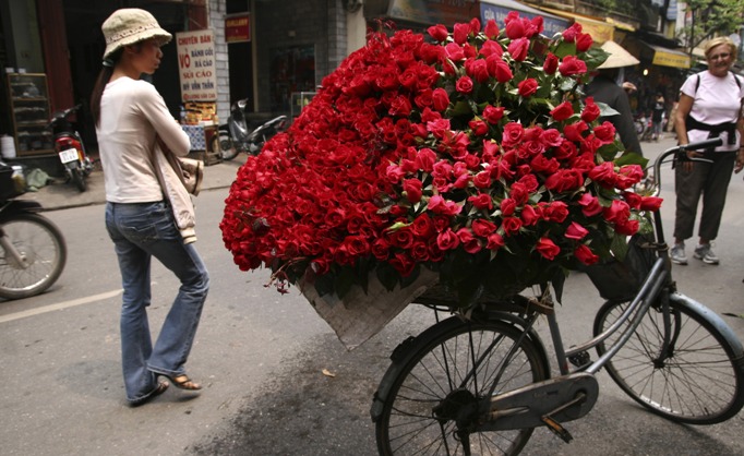 roses_of_vietnam.jpg